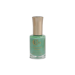 NAIL-POLISH-COLOURS-394.png